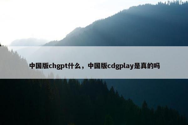 中国版chgpt什么，中国版cdgplay是真的吗