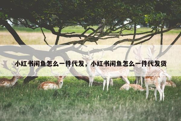 小红书闲鱼怎么一件代发，小红书闲鱼怎么一件代发货