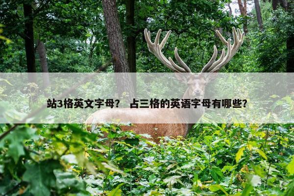 站3格英文字母？ 占三格的英语字母有哪些？