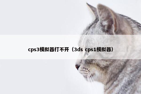 cps3模拟器打不开（3ds cps1模拟器）