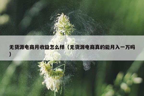 无货源电商月收益怎么样（无货源电商真的能月入一万吗）