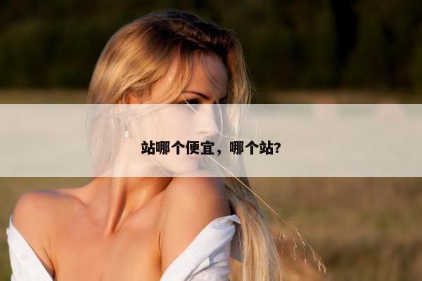 站哪个便宜，哪个站?