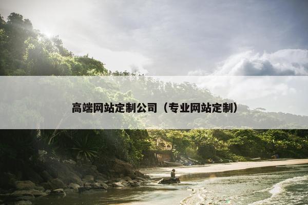 高端网站定制公司（专业网站定制）
