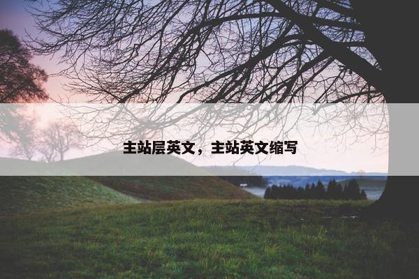 主站层英文，主站英文缩写