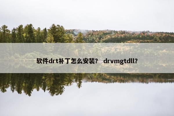 软件drt补丁怎么安装？ drvmgtdll？