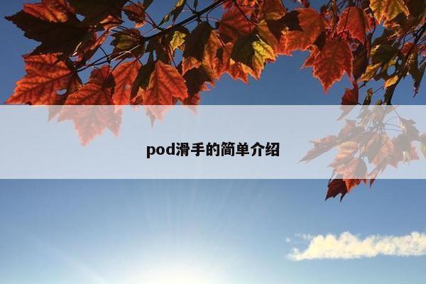 pod滑手的简单介绍