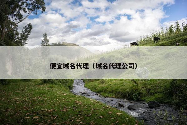 便宜域名代理（域名代理公司）