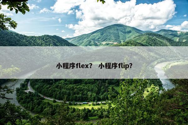 小程序flex？ 小程序flip？