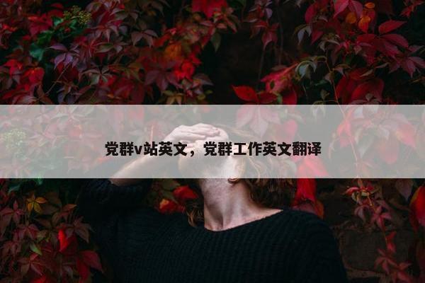党群v站英文，党群工作英文翻译