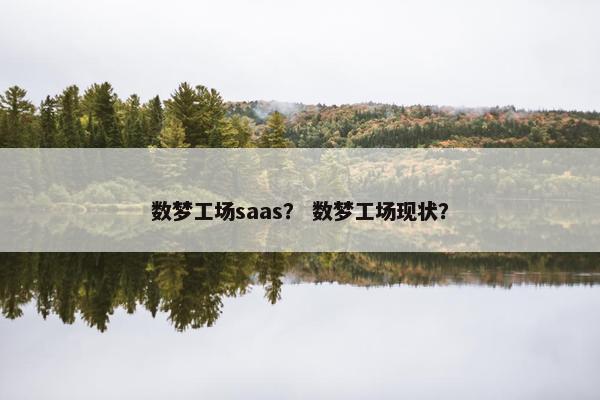 数梦工场saas？ 数梦工场现状？