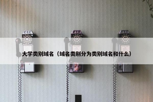 大学类别域名（域名类别分为类别域名和什么）