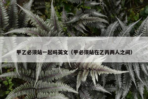 甲乙必须站一起吗英文（甲必须站在乙丙两人之间）