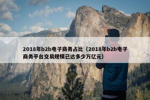 2018年b2b电子商务占比（2018年b2b电子商务平台交易规模已达多少万亿元）