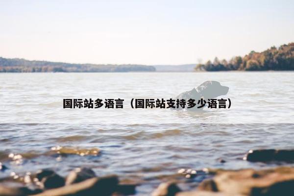 国际站多语言（国际站支持多少语言）