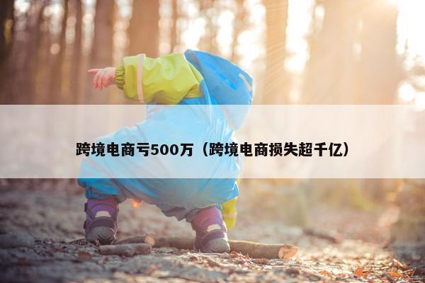 跨境电商亏500万（跨境电商损失超千亿）