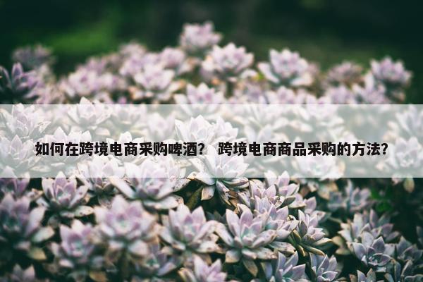 如何在跨境电商采购啤酒？ 跨境电商商品采购的方法？