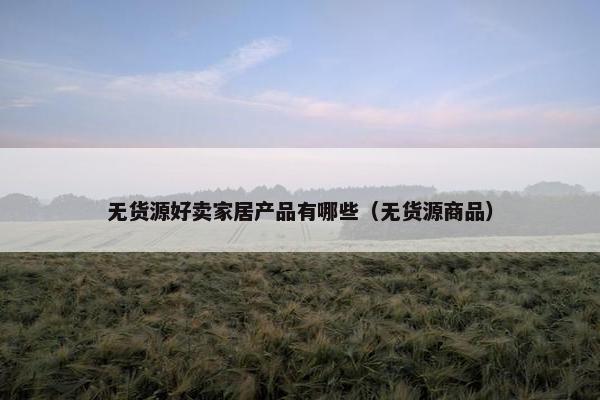 无货源好卖家居产品有哪些（无货源商品）