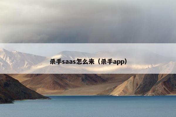 杀手saas怎么来（杀手app）