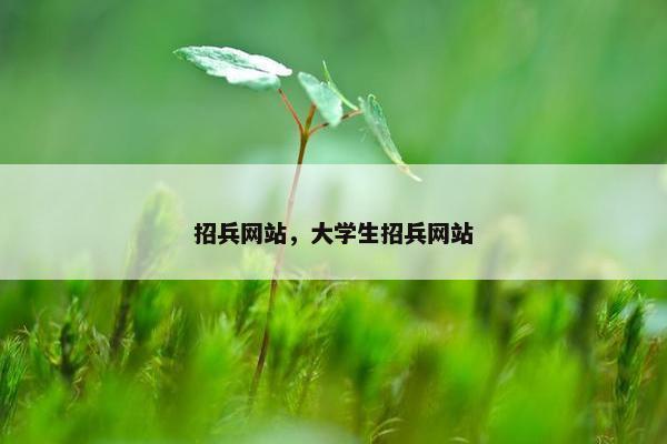 招兵网站，大学生招兵网站