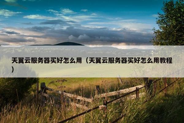 天翼云服务器买好怎么用（天翼云服务器买好怎么用教程）