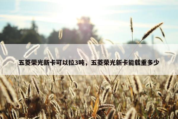 五菱荣光新卡可以拉3吨，五菱荣光新卡能载重多少
