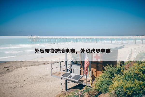 外贸带货跨境电商，外贸跨界电商