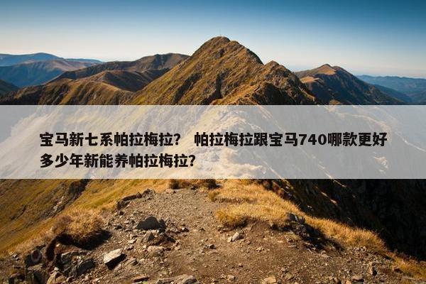 宝马新七系帕拉梅拉？ 帕拉梅拉跟宝马740哪款更好多少年新能养帕拉梅拉？