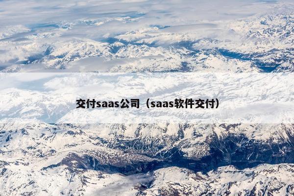 交付saas公司（saas软件交付）