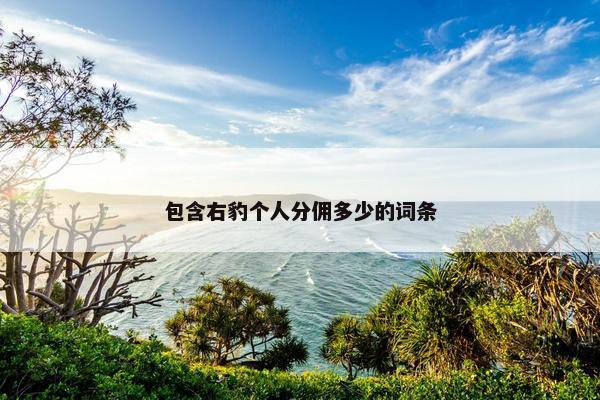 包含右豹个人分佣多少的词条