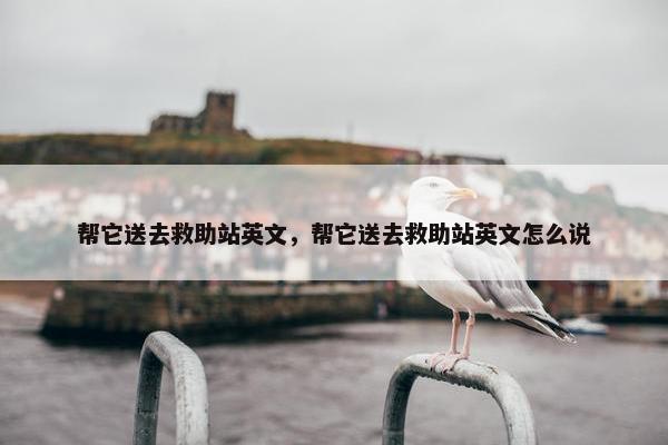 帮它送去救助站英文，帮它送去救助站英文怎么说