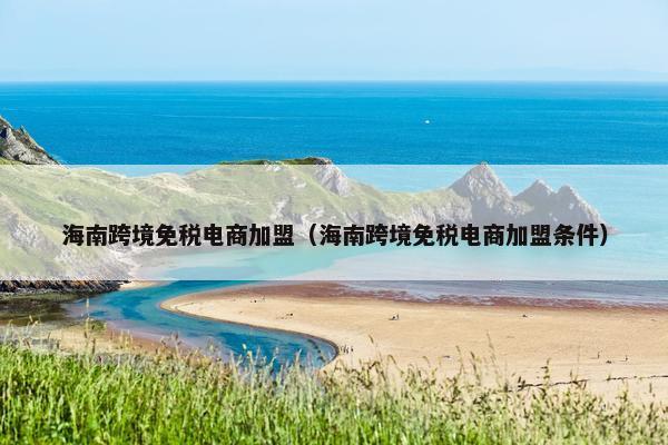 海南跨境免税电商加盟（海南跨境免税电商加盟条件）