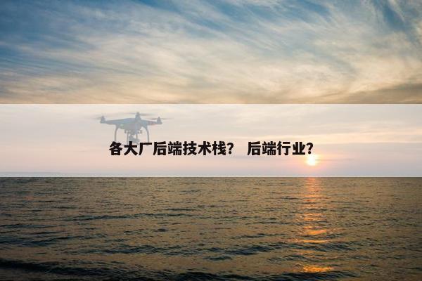 各大厂后端技术栈？ 后端行业？