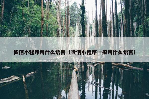 微信小程序用什么语言（微信小程序一般用什么语言）