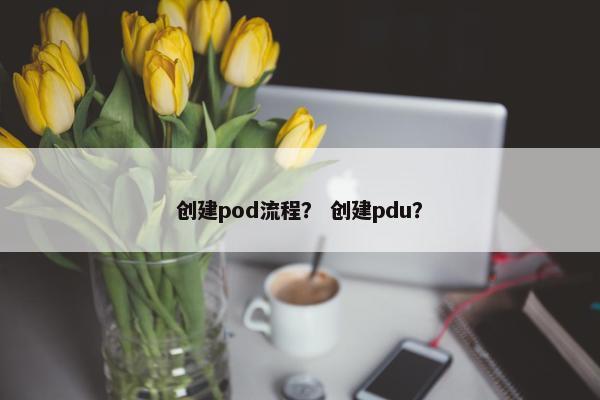 创建pod流程？ 创建pdu？