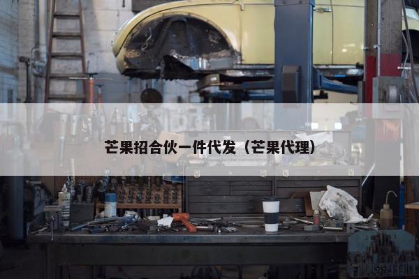 芒果招合伙一件代发（芒果代理）