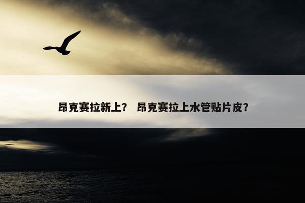 昂克赛拉新上？ 昂克赛拉上水管贴片皮？