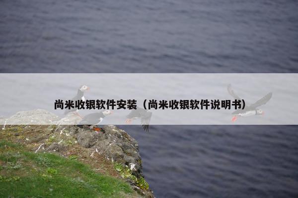 尚米收银软件安装（尚米收银软件说明书）