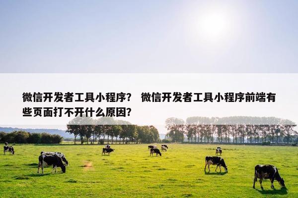 微信开发者工具小程序？ 微信开发者工具小程序前端有些页面打不开什么原因？