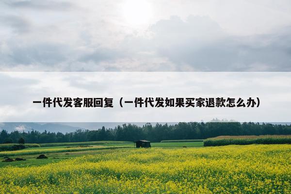 一件代发客服回复（一件代发如果买家退款怎么办）