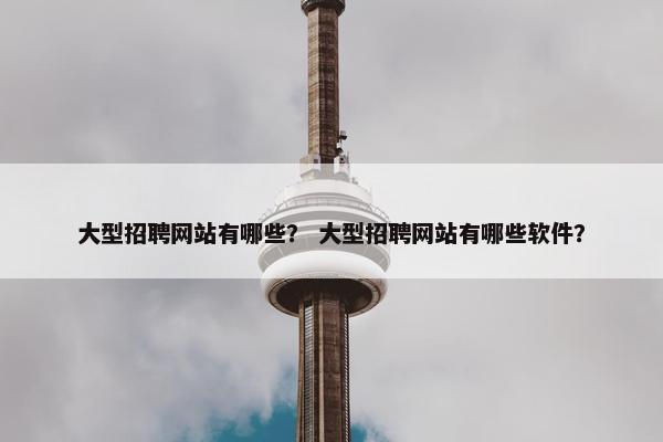 大型招聘网站有哪些？ 大型招聘网站有哪些软件？