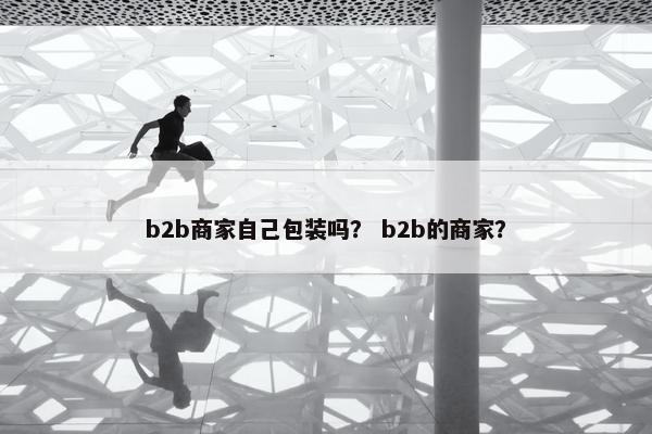 b2b商家自己包装吗？ b2b的商家？