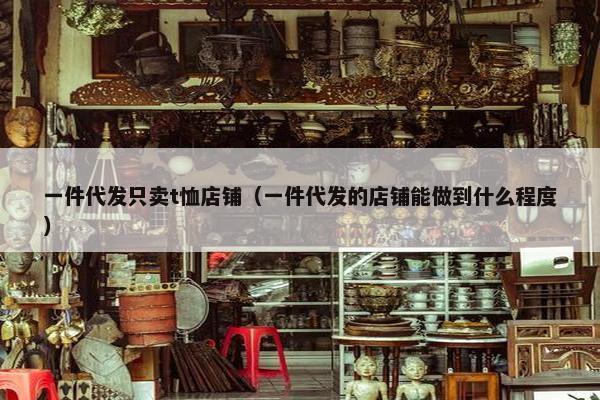 一件代发只卖t恤店铺（一件代发的店铺能做到什么程度）