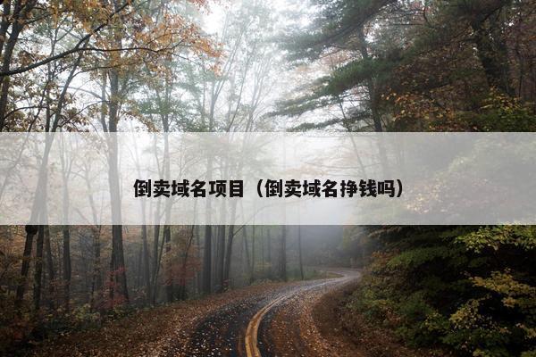 倒卖域名项目（倒卖域名挣钱吗）