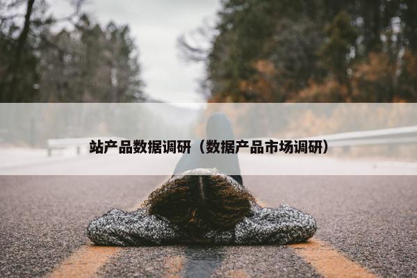 站产品数据调研（数据产品市场调研）