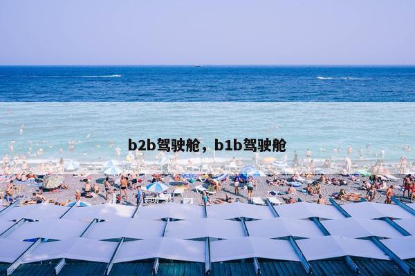b2b驾驶舱，b1b驾驶舱