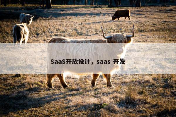 SaaS开放设计，saas 开发