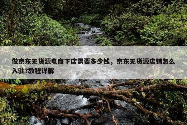 做京东无货源电商下店需要多少钱，京东无货源店铺怎么入驻?教程详解
