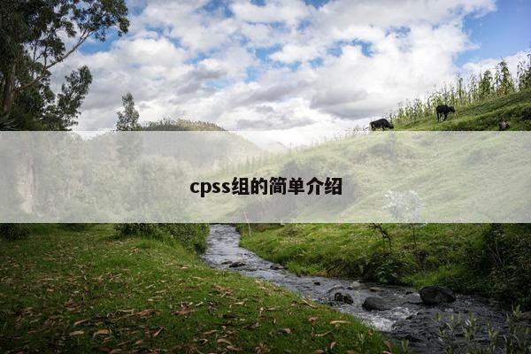 cpss组的简单介绍