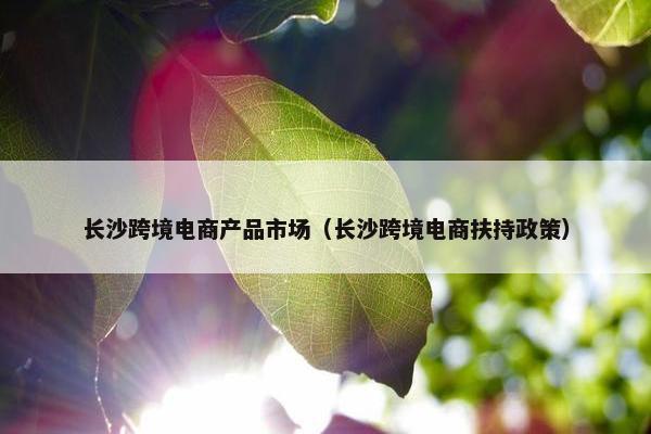 长沙跨境电商产品市场（长沙跨境电商扶持政策）
