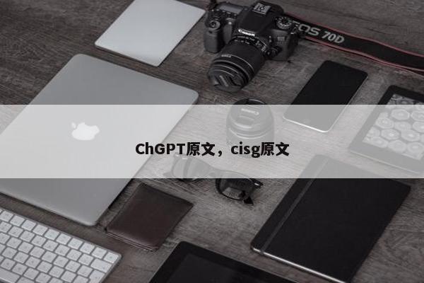 ChGPT原文，cisg原文